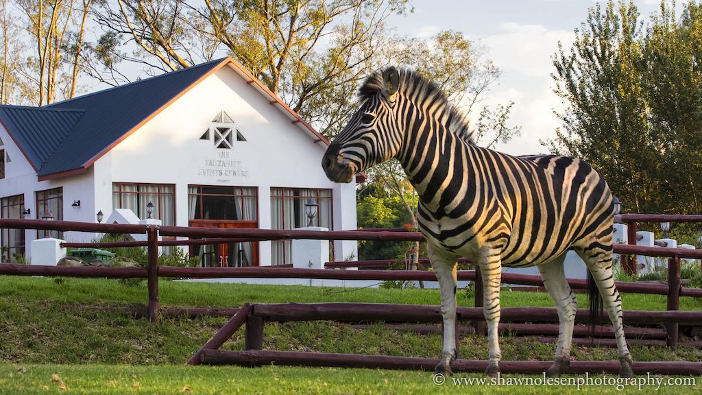 Hotel Zulu Nyala Country Manor à Johannesbourg Extérieur photo